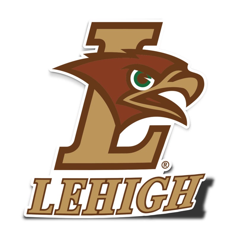 Desert Cactus Lehigh University Sticker Mountain Hawks Vinyl Decal Laptop Water Bottle Car Scrapbook (IND 00064a) - Image 1
